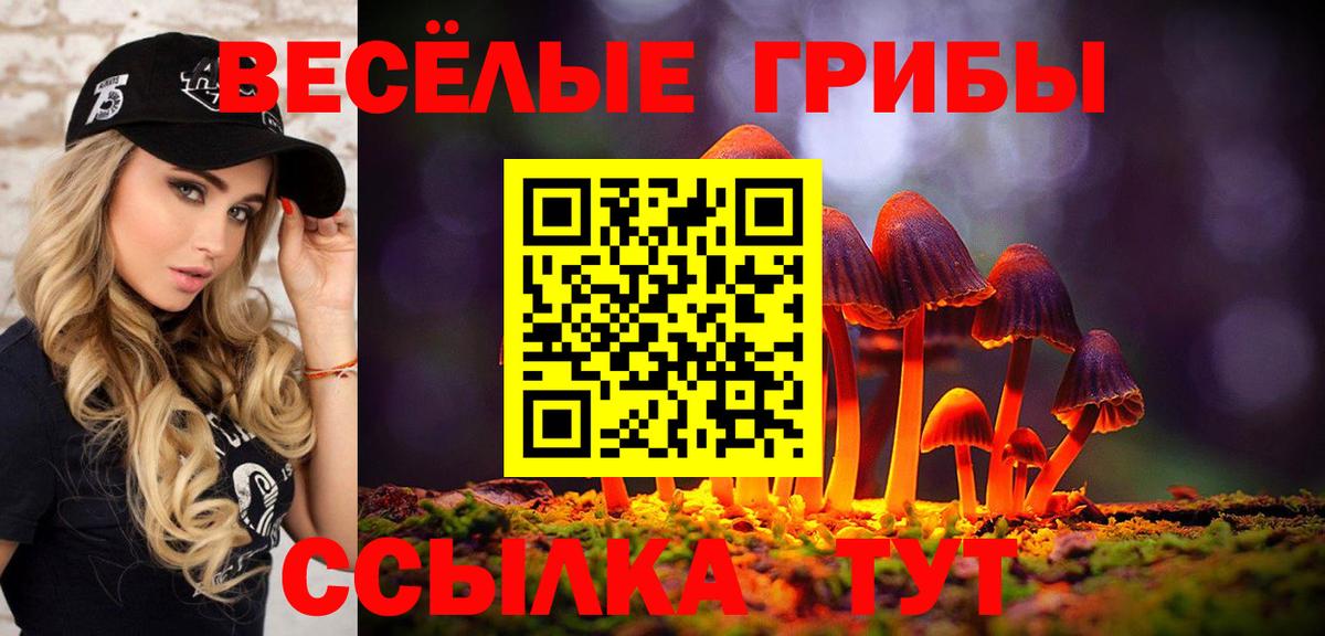 наркошоп  Галлюциногенные грибы прущие грибы  Сальск  Вход с VPN  Псилоцибиновые грибы мухоморы 