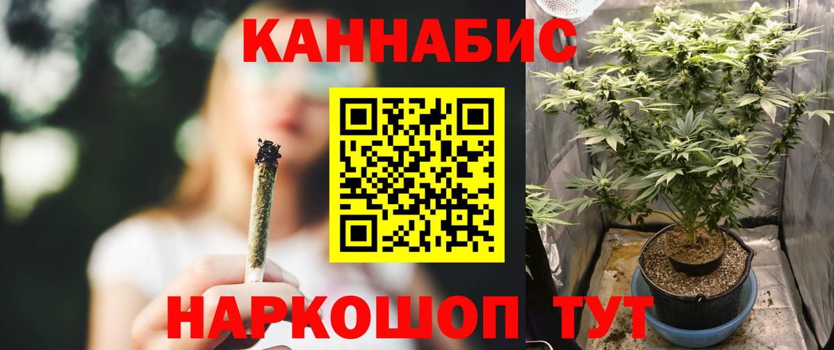МАРИХУАНА план  Вход с VPN  Сальск  Шишки марихуана индика  Бошки Шишки Bruce Banner 